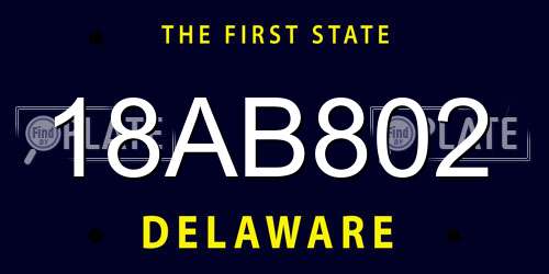 18AB802 Delaware License Plate