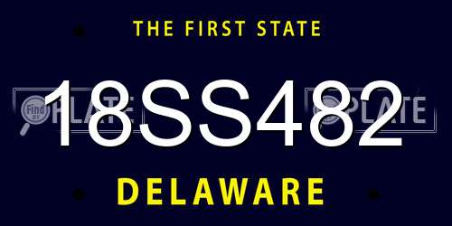 18SS482 Delaware License Plate
