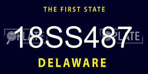 18SS487 Delaware License Plate
