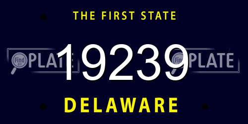 19239 Delaware License Plate