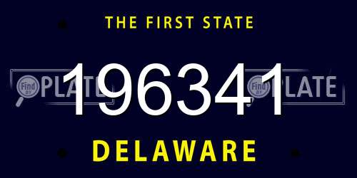 196341 Delaware License Plate