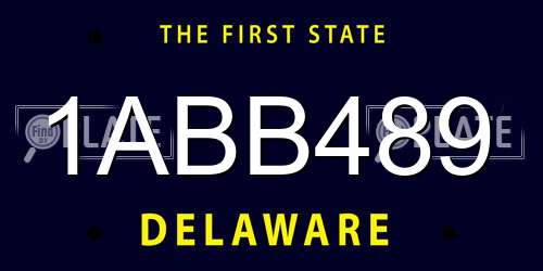 1ABB489 Delaware License Plate