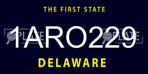 1ARO229 Delaware License Plate