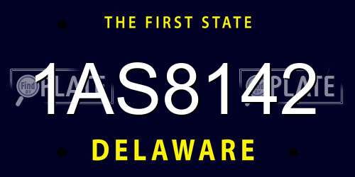 1AS8142 Delaware License Plate