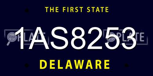 1AS8253 Delaware License Plate