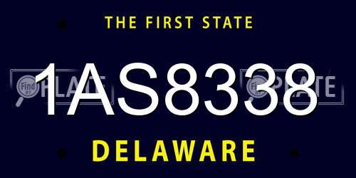 1AS8338 Delaware License Plate