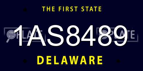 1AS8489 Delaware License Plate