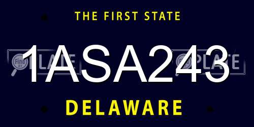 1ASA243 Delaware License Plate