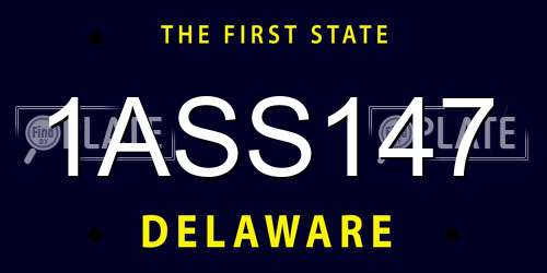 1ASS147 Delaware License Plate