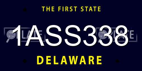 1ASS338 Delaware License Plate