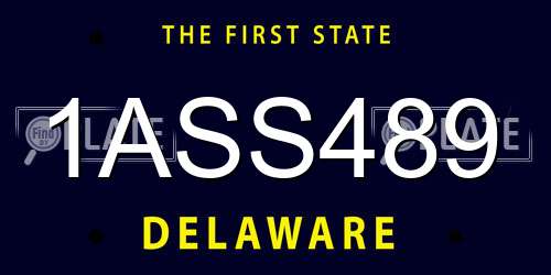 1ASS489 Delaware License Plate