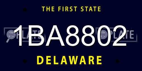 1BA8802 Delaware License Plate