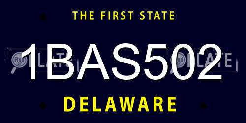 1BAS502 Delaware License Plate