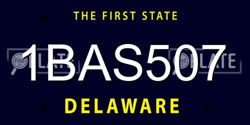1BAS507 Delaware License Plate