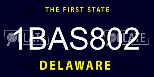 1BAS802 Delaware License Plate