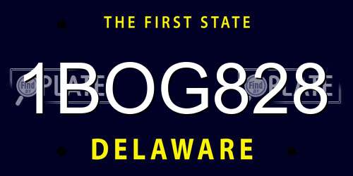 1BOG828 Delaware License Plate