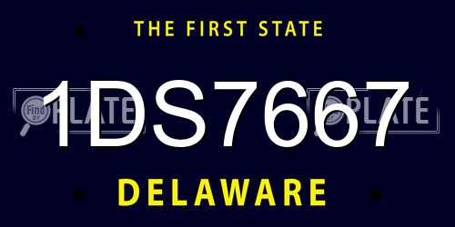 1DS7667 Delaware License Plate