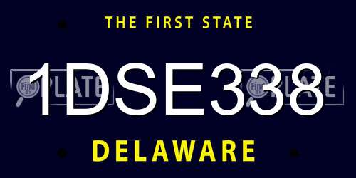 1DSE338 Delaware License Plate