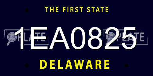 1EA0825 Delaware License Plate