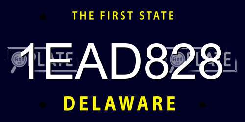 1EAD828 Delaware License Plate