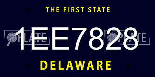 1EE7828 Delaware License Plate