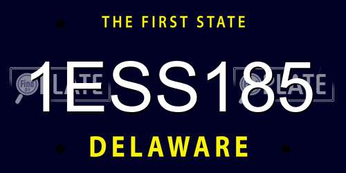 1ESS185 Delaware License Plate
