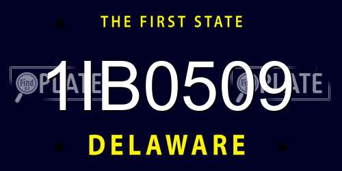 1IB0509 Delaware License Plate