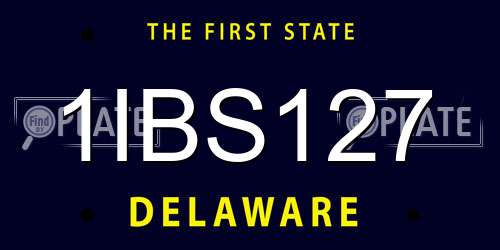 1IBS127 Delaware License Plate