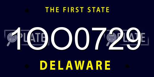 1OO0729 Delaware License Plate
