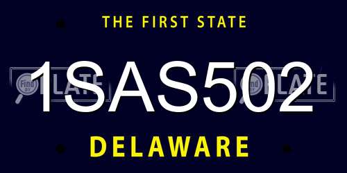 1SAS502 Delaware License Plate