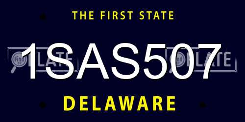 1SAS507 Delaware License Plate