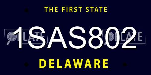 1SAS802 Delaware License Plate