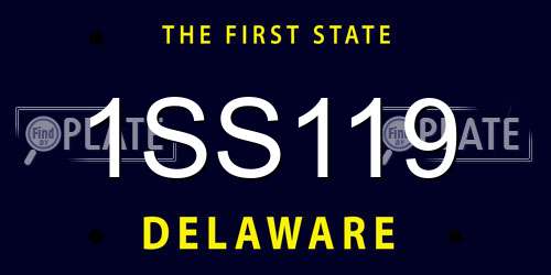 1SS119 Delaware License Plate
