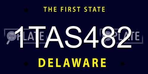 1TAS482 Delaware License Plate