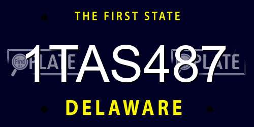 1TAS487 Delaware License Plate