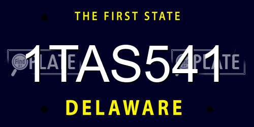 1TAS541 Delaware License Plate
