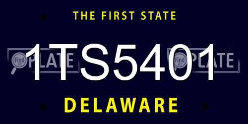 1TS5401 Delaware License Plate