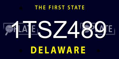 1TSZ489 Delaware License Plate