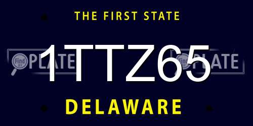 1TTZ65 Delaware License Plate