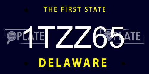 1TZZ65 Delaware License Plate