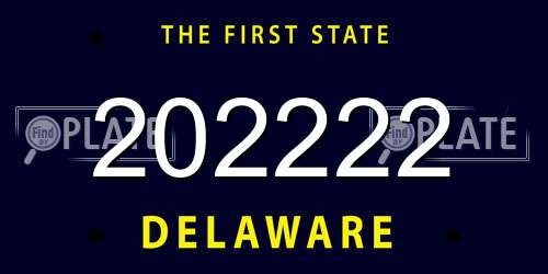202222 Delaware License Plate
