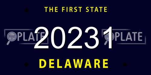 20231 Delaware License Plate
