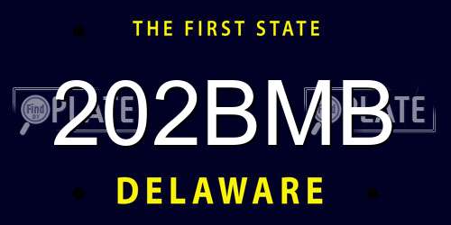202BMB Delaware License Plate