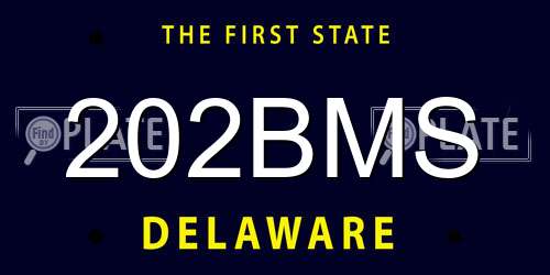 202BMS Delaware License Plate