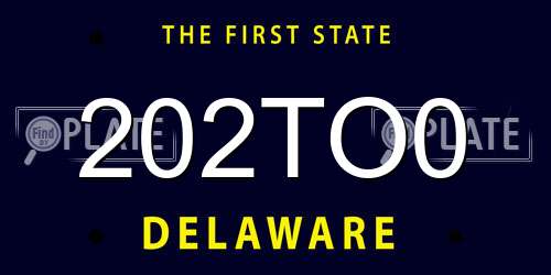 202TO0 Delaware License Plate