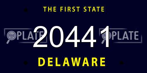 20441 Delaware License Plate