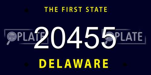 20455 Delaware License Plate