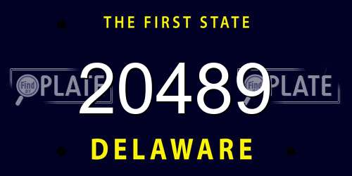 20489 Delaware License Plate