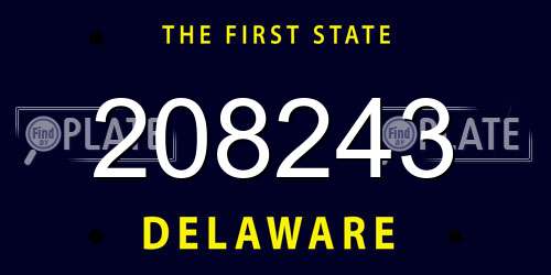 208243 Delaware License Plate