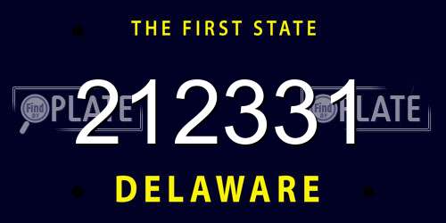 212331 Delaware License Plate